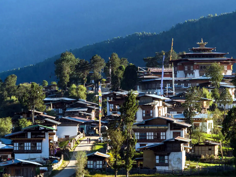 The Bhutan Gangtey Trek is a renowned trekking route that takes hikers through the stunning Phobjikha Valley. This trek offers breathtaking views of glacial peaks, lush terraced fields of barley, wheat, and buckwheat, and an opportunity to immerse yourself in Bhutan's rich culture.