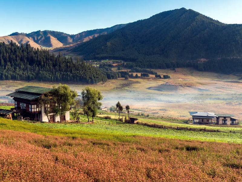 Gangtey Trek, Bhutan Trekking, Bhutan Trek, Bhutan Hiking, Hiking in Bhutan, Trekking in Bhutan