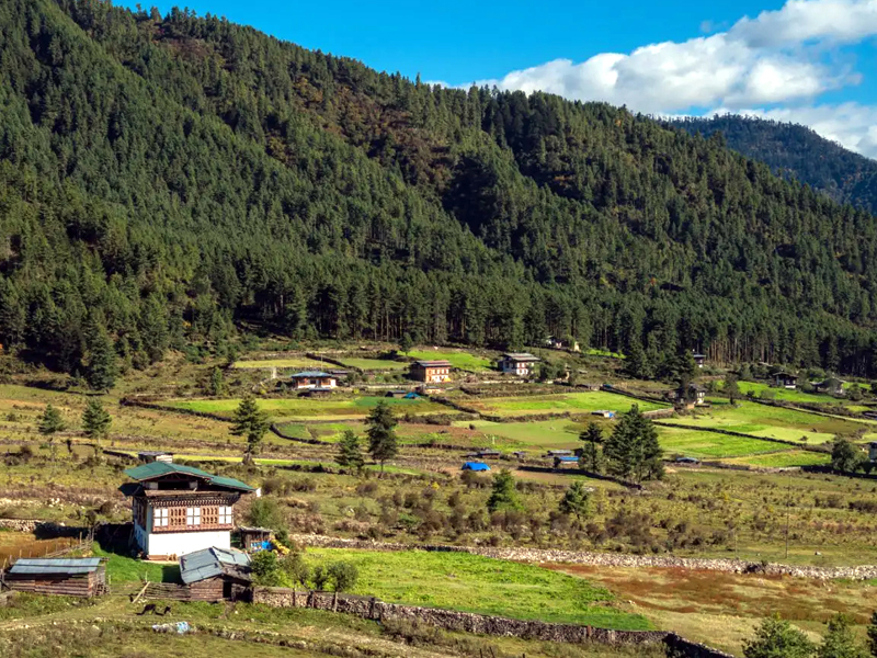 Experience Bhutan’s Nature and Mountains, High Altitude Trekking in Bhutan, Trekking in the Land of Thunder Dragons