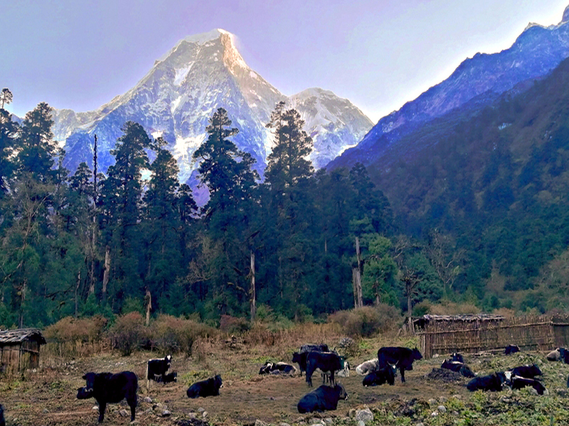 Natural Treasures of Jugal Himal, Spectacular Awe-inspiring views of Jugal Himal, Journey Through Jugal Himal