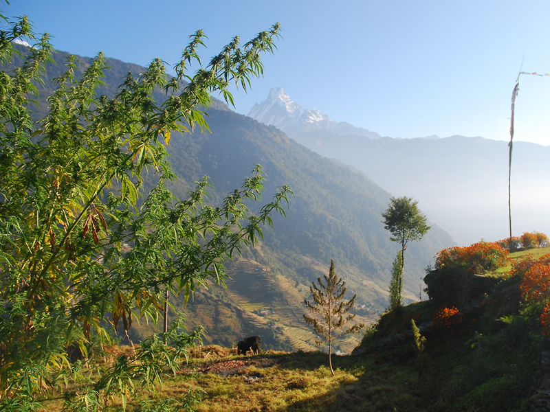 Nepal Tours, Gipsy Touring, Budget Nepal Tours, Adventure Travel, Trekking in Nepal