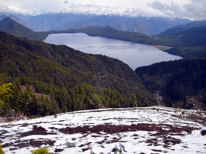 Rara Lake Trekking, Rara Lake Trek, Rara National Park, Rara Trekking Tours