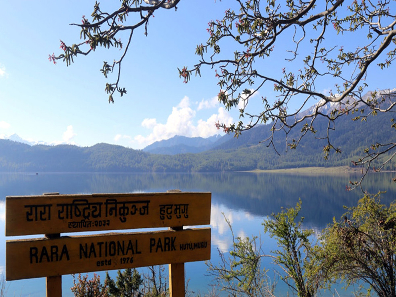 Rara Lake Hiking, Rara Lake Trekking Nepal, jumla rara, lake nepal, nepal rara, in nepal, mugu, national park, rara national