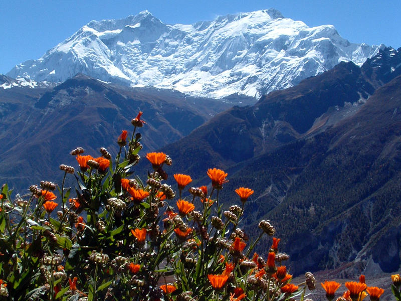 Annapurna Round Trekking, Trekking around Annapurna, Annapurna Circuit Trek, Annapurna Base Camp Trek