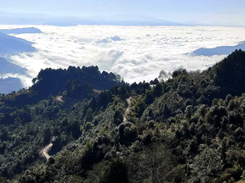 Popular trekking routes in Nepal catching trails, villages, and landmarks for planning budget trips